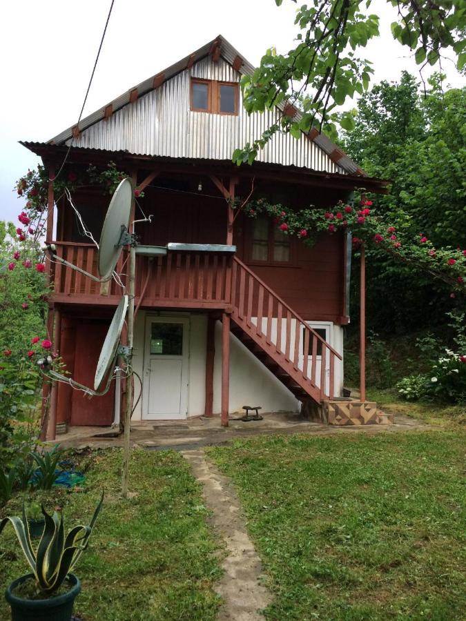 Villa Tengiz Chakvistavi Exteriör bild