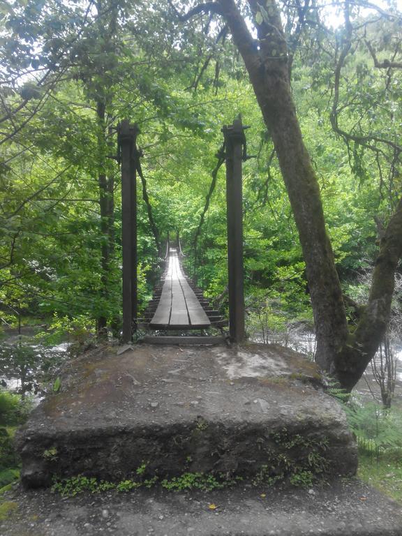 Villa Tengiz Chakvistavi Exteriör bild